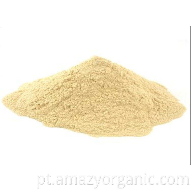 Organic Apple Juice Powder